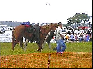 pswm064.jpg