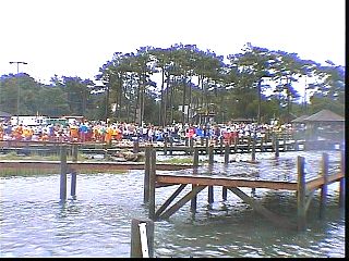 pswm013.jpg