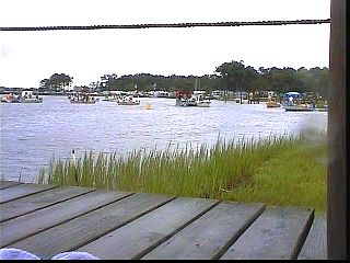 pswm038.jpg