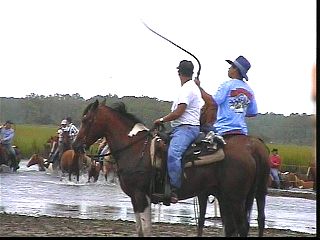 pswm009.jpg