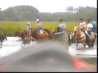 pswm010.jpg
