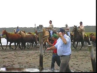 pswm014.jpg