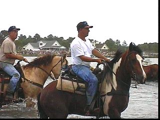 pswm021.jpg