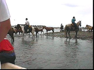 pswm022.jpg