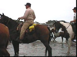 pswm023.jpg