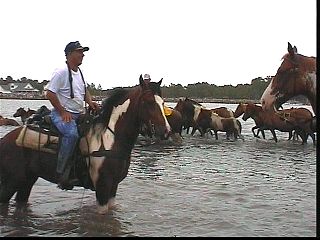 pswm025.jpg