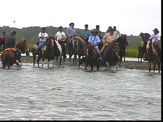 pswm031.jpg