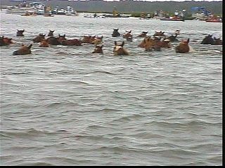 pswm033.jpg