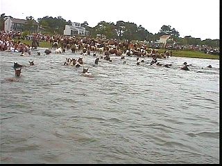 pswm043.jpg