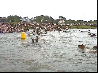 pswm044.jpg