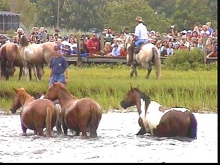 pswm047.jpg