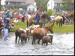 pswm051.jpg