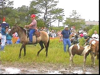 pswm054.jpg