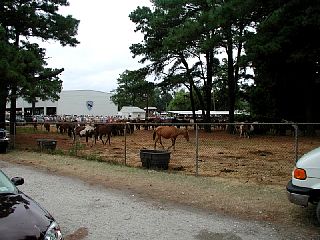 P7260006.JPG