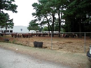 P7260007.JPG