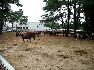 P7260008.JPG