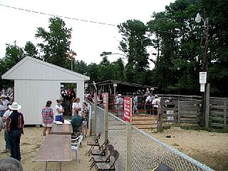 P7260010.JPG