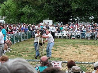 P7260020.JPG