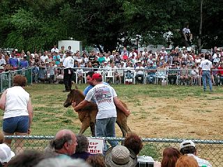 P7260022.JPG
