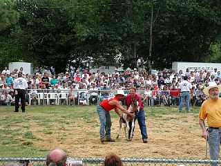 P7260030.JPG