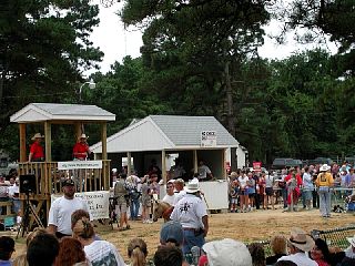 P7260034.JPG