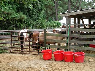 P7260036.JPG