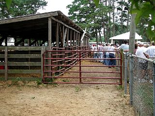P7260041.JPG