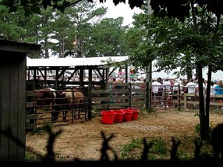 P7260042.JPG