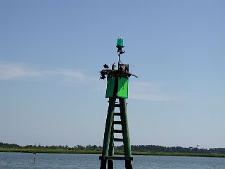P1010013.JPG
