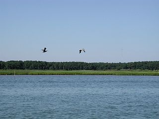 P1010028.JPG