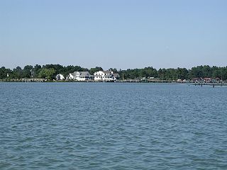 P1010033.JPG