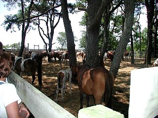 P1010035.JPG
