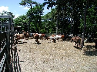 P1010038.JPG