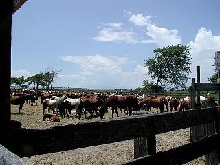 P1010039.JPG