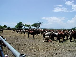 P1010040.JPG