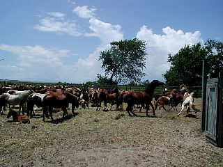 P1010041.JPG