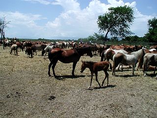 P1010042.JPG