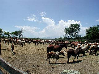 P1010043.JPG