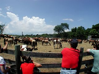 P1010044.JPG