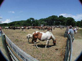 P1010045.JPG