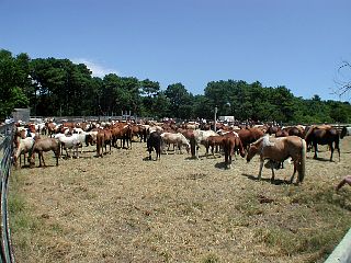 P1010047.JPG