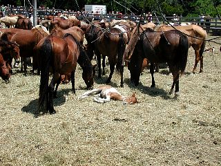 P1010049.JPG
