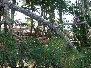 P1010060.JPG