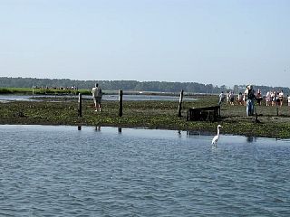 P7250002.JPG