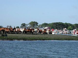 P7250006.JPG