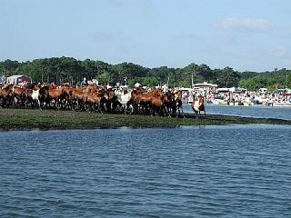 P7250007.JPG