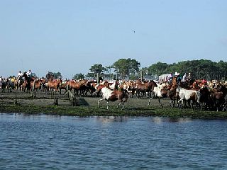 P7250008.JPG