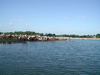 P7250011.JPG