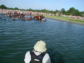 P7250021.JPG