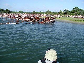 P7250022.JPG